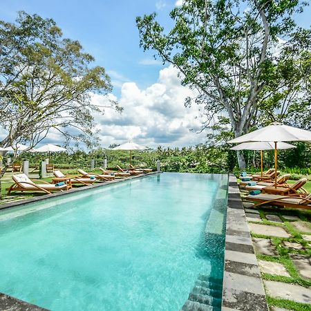 The Pandora Hotel Ubud  Luaran gambar