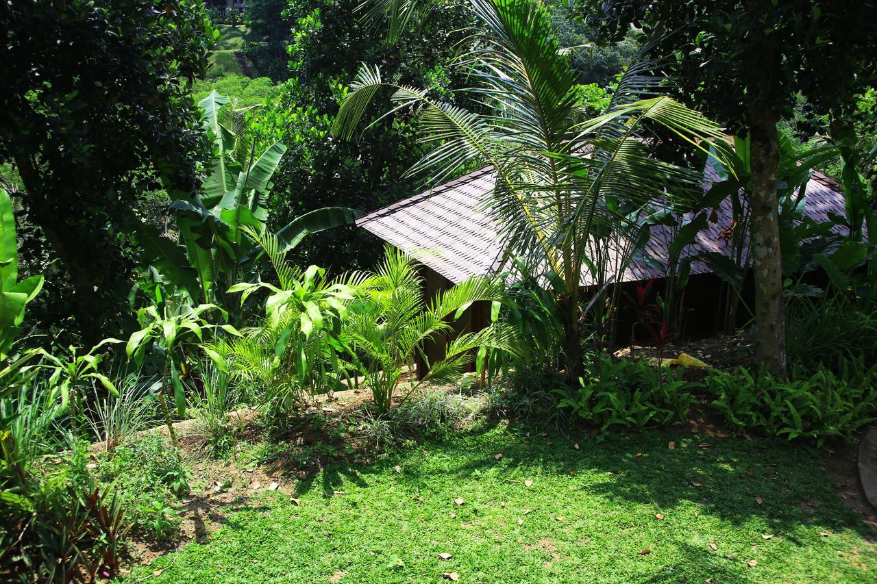 The Pandora Hotel Ubud  Luaran gambar