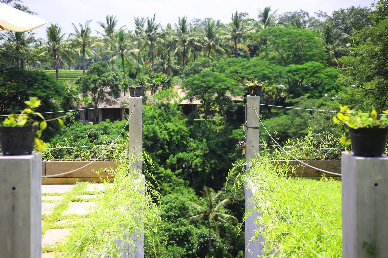 The Pandora Hotel Ubud  Luaran gambar